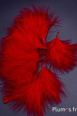 Dinde marabout - 4-7 cm - carmin
